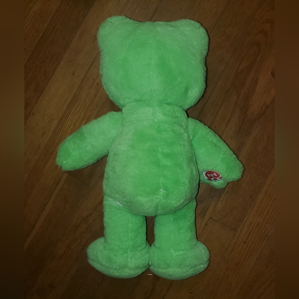 Build-A-Bear Green Frog Stuffed Animal - Picture 6 of 11